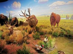 -陕西自然博物馆