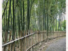 -新虹桥中心花园