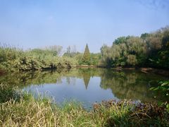 -溱湖国家湿地公园