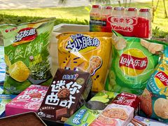 -朝阳公园