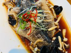 -青梅酒肆PLUS(长白仙岛北路店)