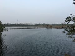 -溱湖国家湿地公园