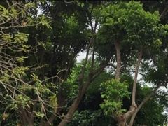 -海堤纪念公园