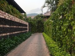 -三亚亚龙湾五号度假别墅酒店