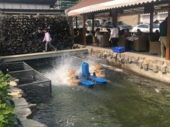 -京北渔家傲