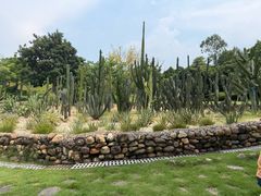 -东莞植物园