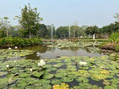 -中国科学院西双版纳热带植物园