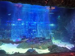 -沈阳海洋探索中心