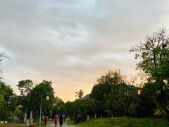 -杏花村文化旅游区