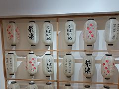 -柴迷FANS CLUB·柴犬狗咖·猫咖