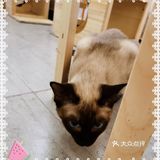夏日里来生灵奇境观看小动物