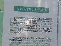 -长洲岛