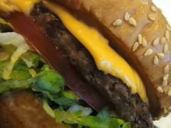 火烤双层牛肉特堡-The Habit Burger Grill 哈比特汉堡(爱琴海店)