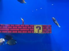 -海合安武汉极地海洋公园