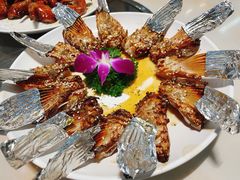 -港升鱼师傅·中山脆肉鲩