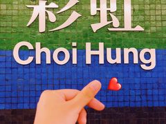 -彩虹村