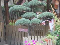 内景-老外街