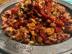 -天山醉美辣子鸡(文艺路店)