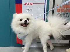 -总动员动物医院(宝丰院店)