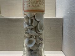 -广东中医药博物馆