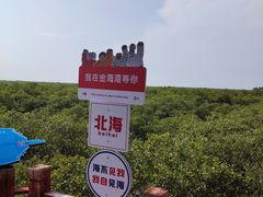 -北海金海湾红树林生态旅游区