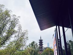 -龙华素斋(龙华路店)