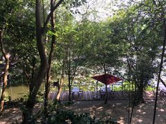 -老木棉·匠园