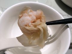 -南枝记