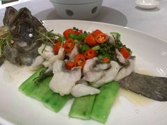 老虎斑-火璽·園