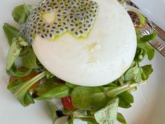 马苏里拉芝士沙拉-咖啡苑 - 蔚藍夏日限定主题(永利皇宫店)