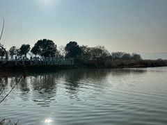 -长兴太湖图影湿地文化园