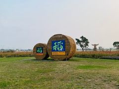 -嘉北郊野公园