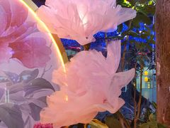 -正佳雨林生态植物园