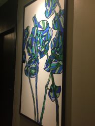 -奈瑞儿美颜美养SPA