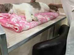 -贝利宠物医院·骨科·眼科·肿瘤转诊中心(南坪诊疗中心)