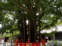 -潭柘寺景区