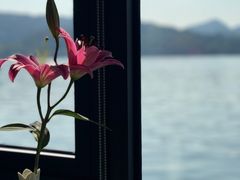 -柳莺湖上·湖景餐厅·江南菜(西湖店)