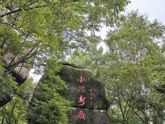 -汤旺河林海奇石景区