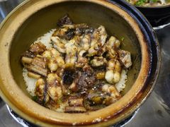 -红星光发煲仔饭(大石街店)