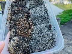 -龙游祖传豆腐丸