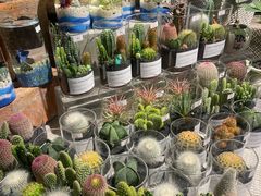 -循礼门鲜花花市(武汉循礼门店)