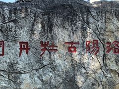 -洛阳市牡丹公园