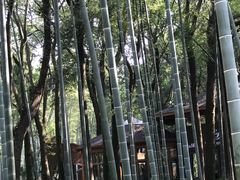 -同里国家湿地公园