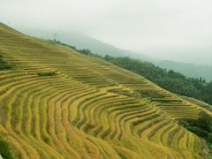 -龙脊梯田