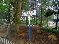 -武汉大学-樱园
