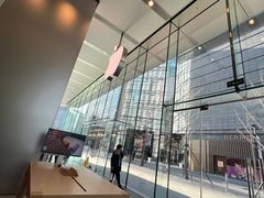 -Apple零售店(华贸购物中心店)