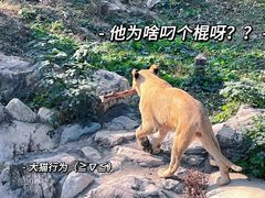 -石家庄市动物园