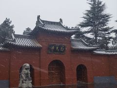 -洛阳白马寺