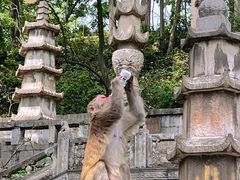 -黔灵山公园