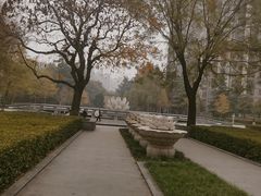 -木塔寺遗址生态公园